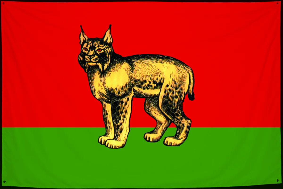 Флаг: Турковский район